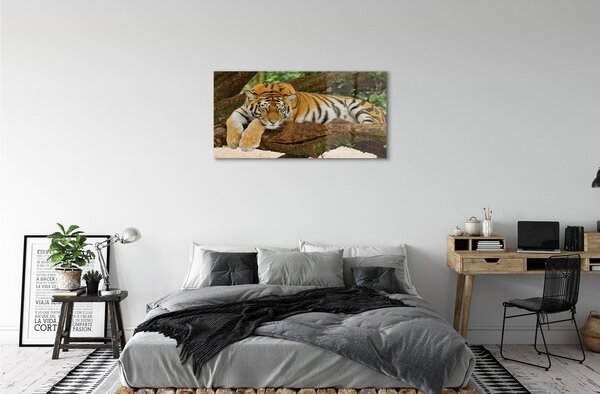 Sklenený obraz tiger tree 100x50 cm 2 Prívesky