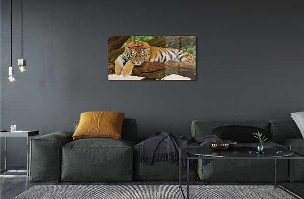 Sklenený obraz tiger tree 100x50 cm 2 Prívesky