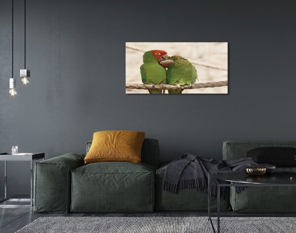 Sklenený obraz zelené papagáje 100x50 cm 2 Prívesky