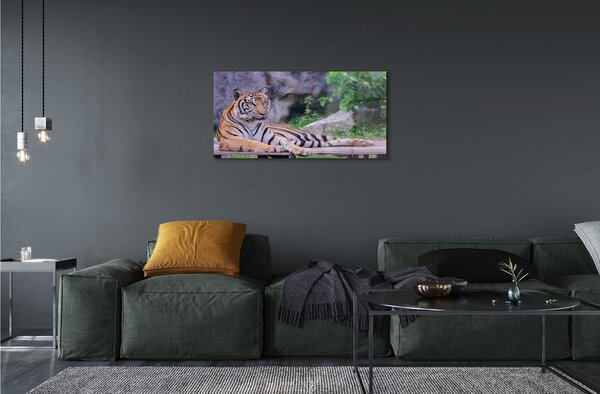 Sklenený obraz Tiger v zoo 100x50 cm 2 Prívesky