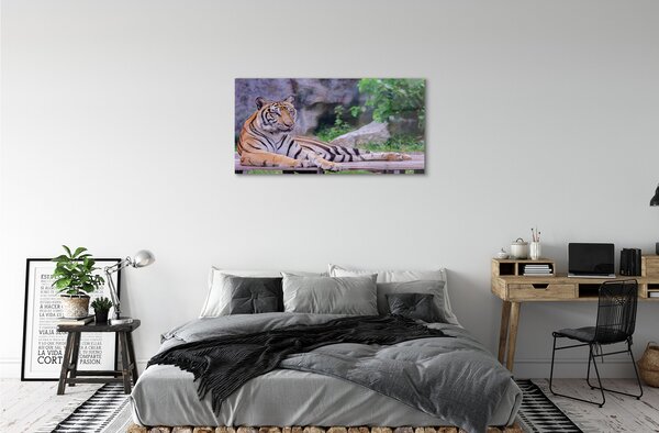 Sklenený obraz Tiger v zoo 100x50 cm 2 Prívesky