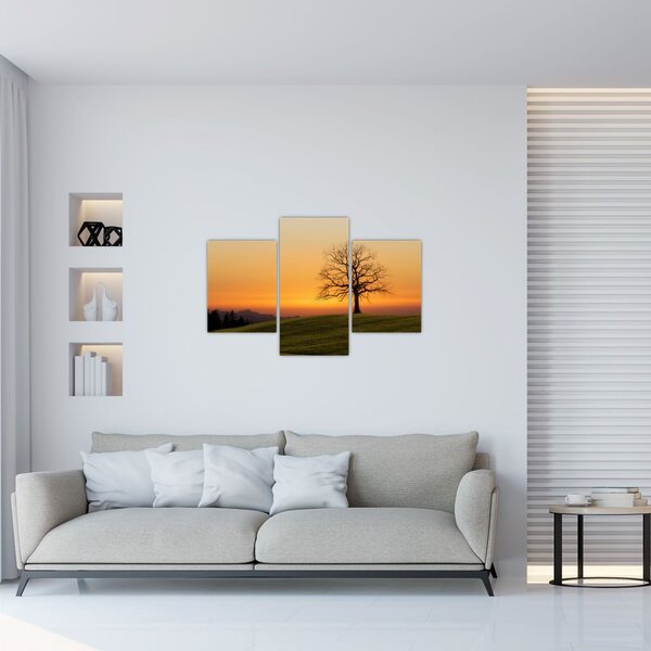 Obraz západu slnka na lúke (90x60 cm)