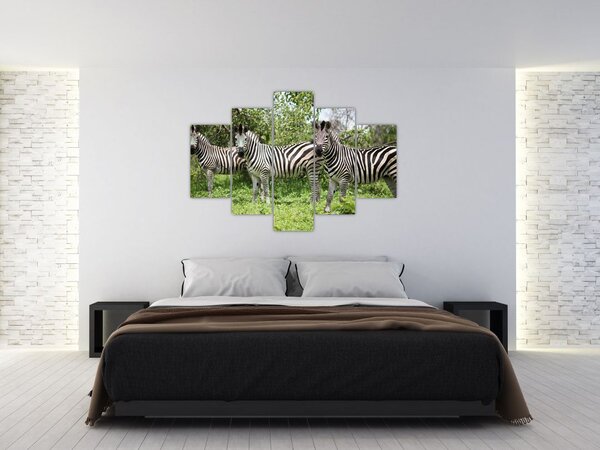 Obraz so zebrami (150x105 cm)