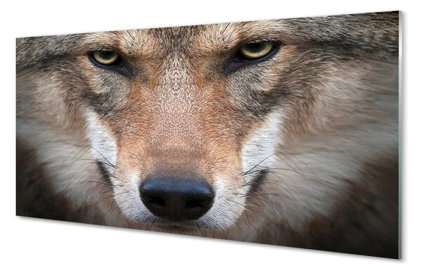 Sklenený obraz wolf Eyes 100x50 cm 2 Prívesky