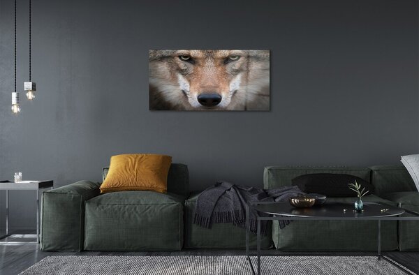 Sklenený obraz wolf Eyes 100x50 cm 2 Prívesky