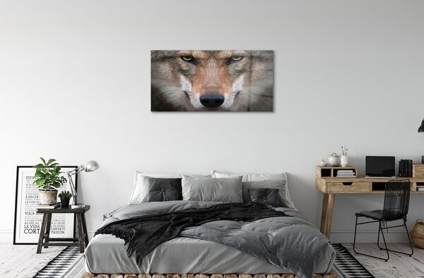 Sklenený obraz wolf Eyes 100x50 cm 2 Prívesky