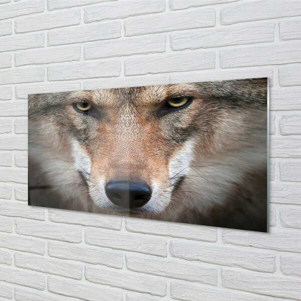Sklenený obraz wolf Eyes 100x50 cm 2 Prívesky