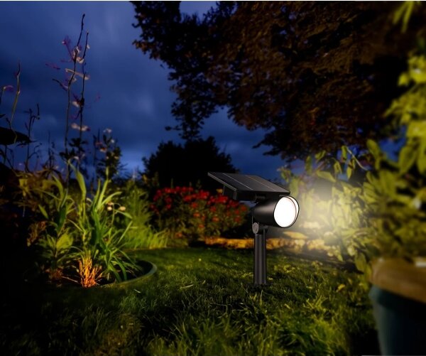 Philips - LED Solárne bodové svietidlo ASHLYN LED/1,4W/3,7V 2700K IP44