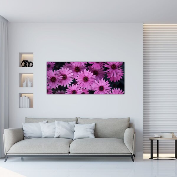 Obraz ružových kvetov (120x50 cm)