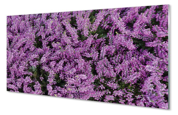 Nástenný panel  fialové kvety 100x50 cm