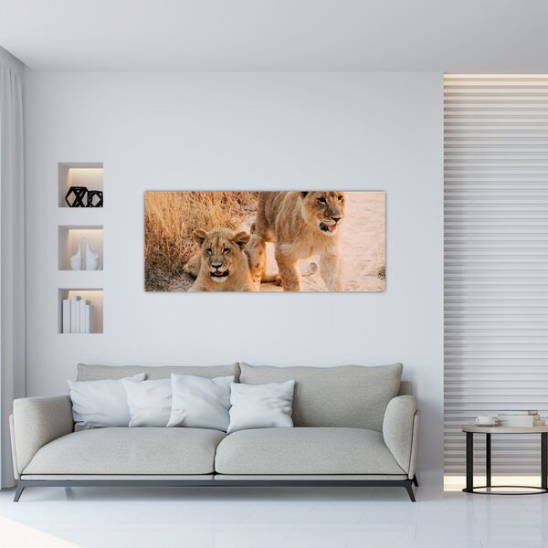 Obraz levice (120x50 cm)