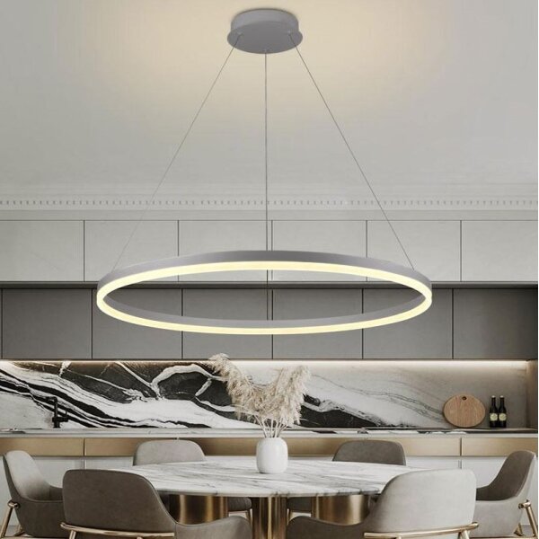 Brilagi - LED stmievateľný luster na lanku CIRCLE LED/55W/230V 3000-6500K strieborný + DO