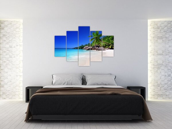 Obraz pláže na Praslin ostrove (150x105 cm)