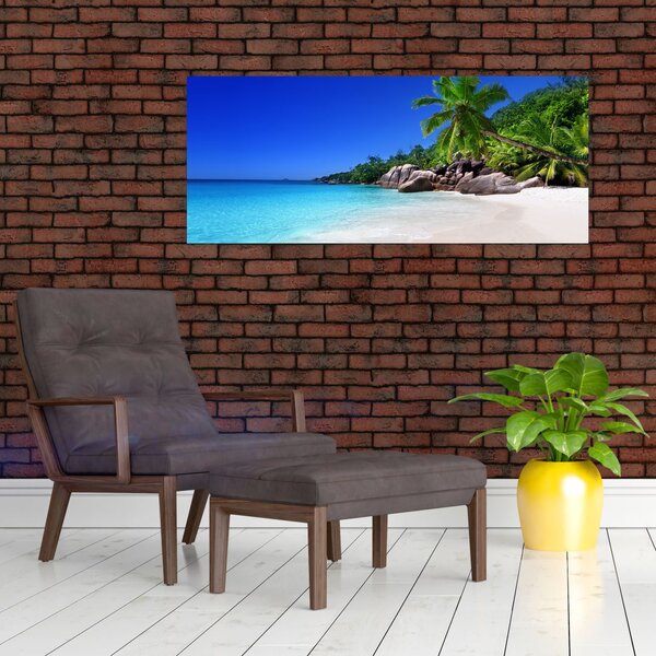 Obraz pláže na Praslin ostrove (120x50 cm)