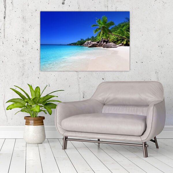 Obraz pláže na Praslin ostrove (90x60 cm)