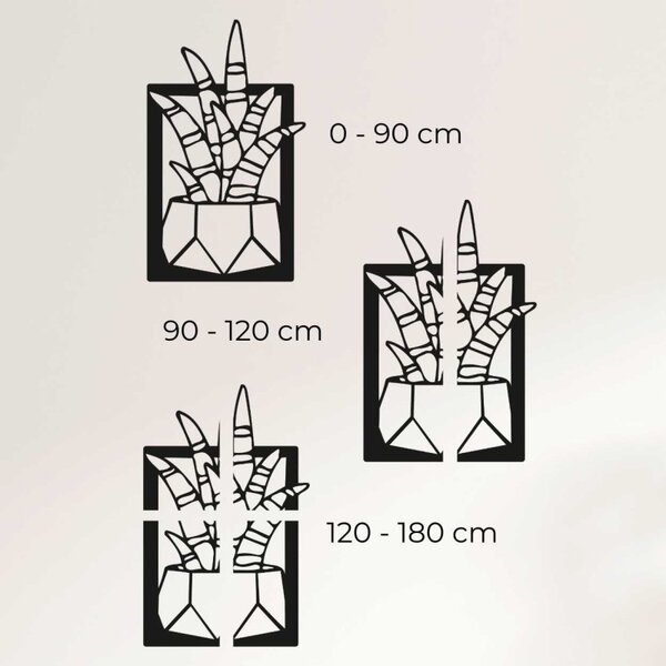 Moderný obraz na stenu sukulent - COCO 4072 PR0402-B