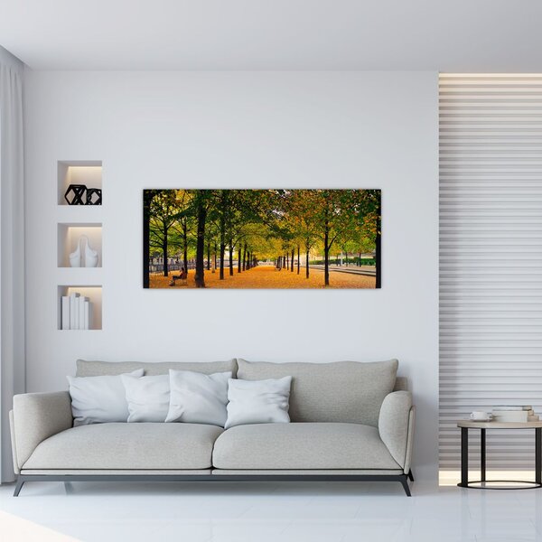 Obraz aleje jesenných stromov (120x50 cm)
