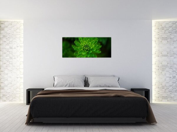 Obraz ihličnanu (120x50 cm)