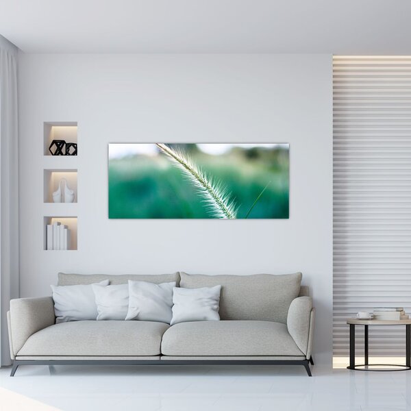 Obraz steblá trávy (120x50 cm)