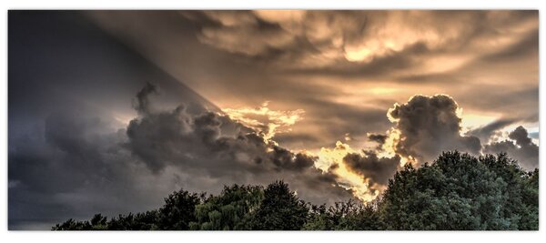 Obraz mračien a lesa (120x50 cm)