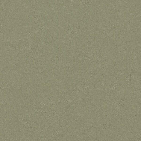 FORBO Marmoleum solid walton Rosemary green 3355 - 2 bm