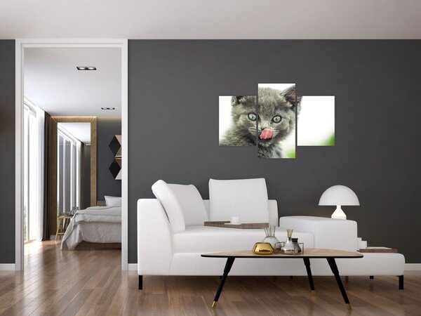 Obraz oblizujícího sa mačiatka (90x60 cm)