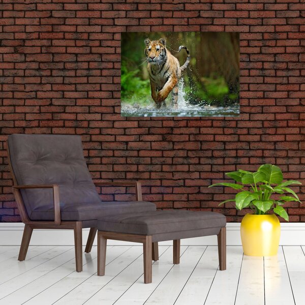 Obraz bežiaceho tigra (70x50 cm)