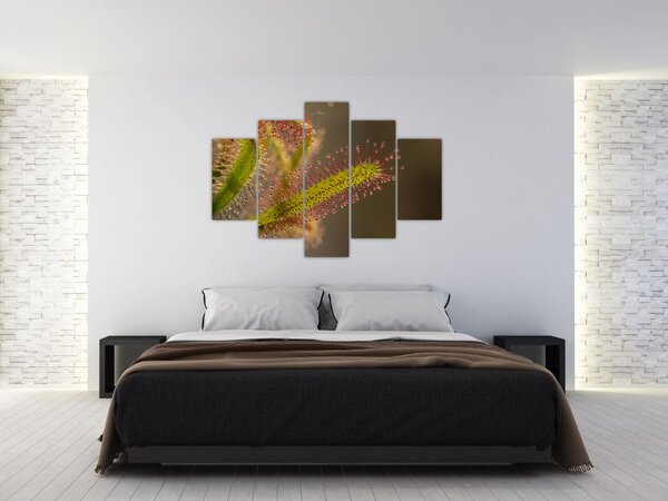 Obraz rastliny (150x105 cm)