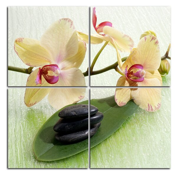 Obraz na plátne - Kvety orchidei - štvorec 362D (60x60 cm)