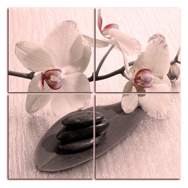 Obraz na plátne - Kvety orchidei - štvorec 362FD (60x60 cm)