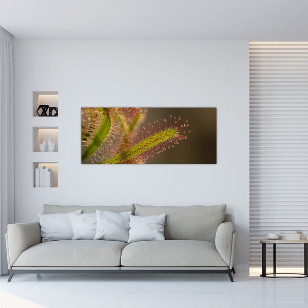 Obraz rastliny (120x50 cm)