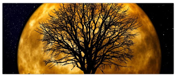 Obraz mesiace a siluet (120x50 cm)