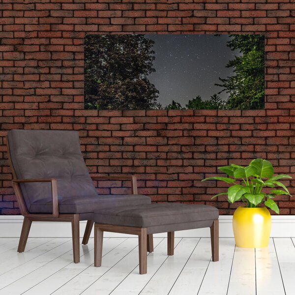 Obraz nočnej oblohy (120x50 cm)