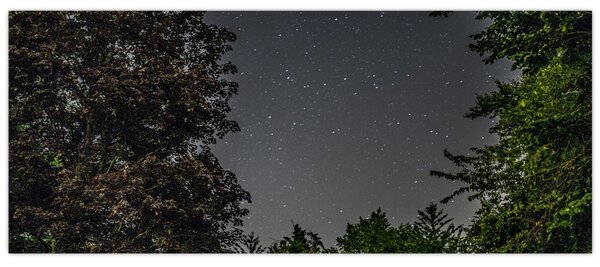 Obraz nočnej oblohy (120x50 cm)