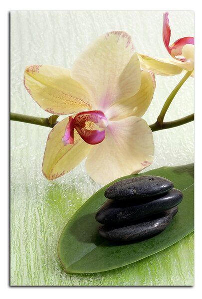 Obraz na plátne - Kvety orchidei - obdĺžnik 762A (100x70 cm)