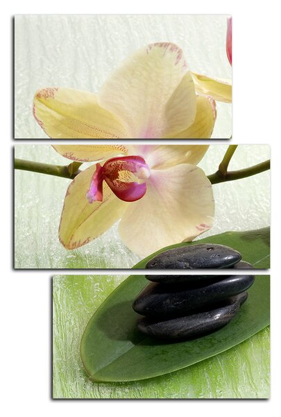Obraz na plátne - Kvety orchidei - obdĺžnik 762C (90x60 cm)