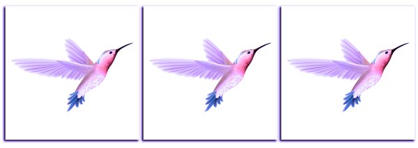 Obraz na plátne - Kolibrík na bielom pozadí - panoráma 589VA (90x30 cm)