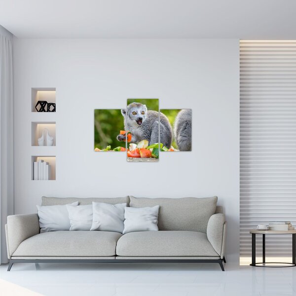 Obraz lemura (90x60 cm)