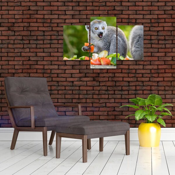 Obraz lemura (90x60 cm)