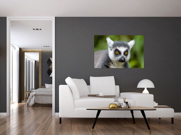 Obraz lemura (90x60 cm)
