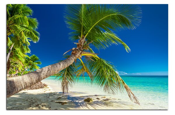 Obraz na plátne - Pláž s palmami 184A (60x40 cm)