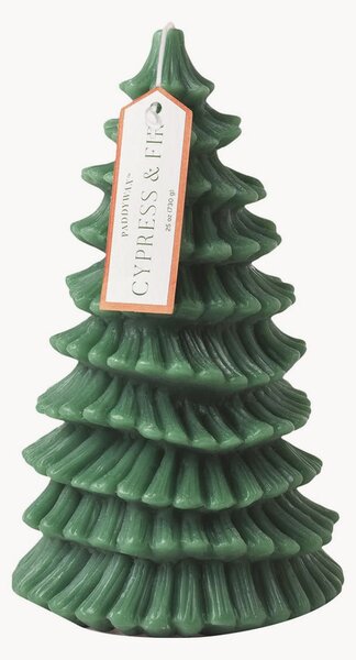 Stĺpová sviečka Cypress & Fir