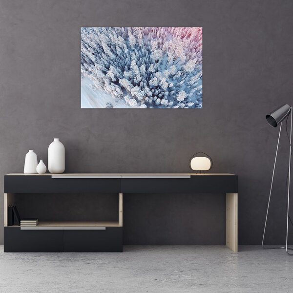 Obraz zasnežených stromov (90x60 cm)