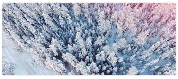 Obraz zasnežených stromov (120x50 cm)