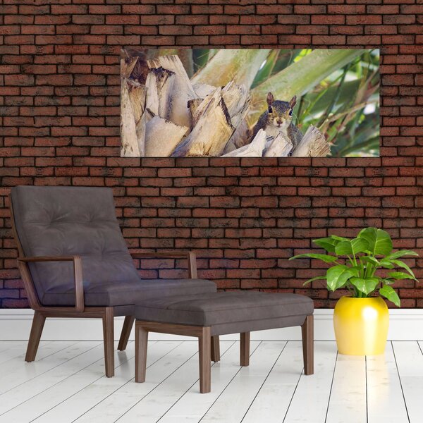 Obraz veveričky na strome (120x50 cm)