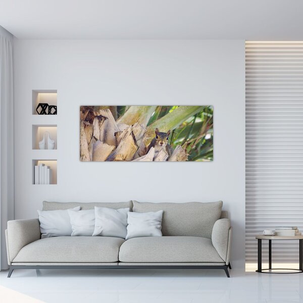 Obraz veveričky na strome (120x50 cm)