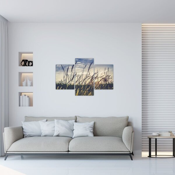 Obraz lúčnych kvetov (90x60 cm)
