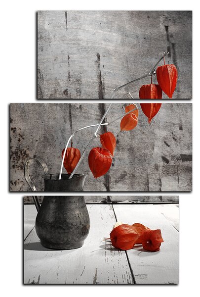 Obraz na plátne - Vetvy Lampión - obdĺžnik 7995FC (90x60 cm)