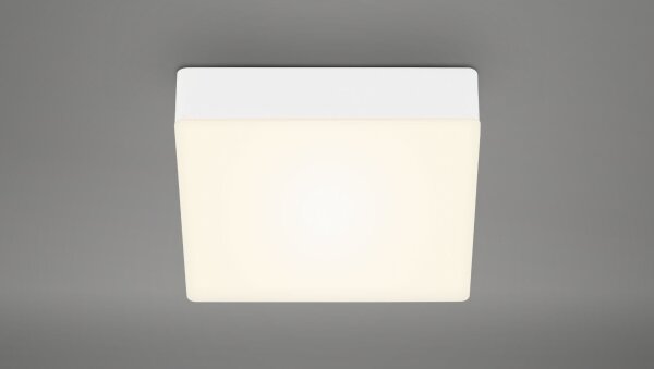 Briloner 7069-016 - LED Stropné svietidlo LED/11W/230V biela