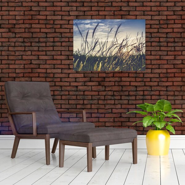 Obraz lúčnych kvetov (70x50 cm)